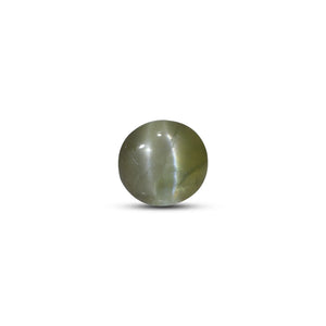 Catseye Chrysoberyl - 3.9 Carat - Pramogh