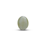Catseye Chrysoberyl - 3.05 Carat - Pramogh