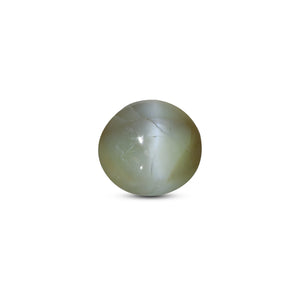 Catseye Chrysoberyl - 2.5 Carat - Pramogh