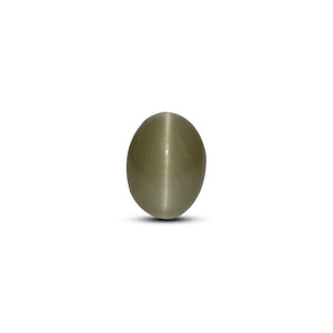 Catseye - 5.45 Carat - Pramogh