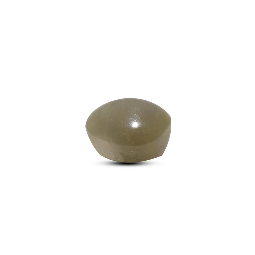 Catseye - 4.05 Carat