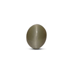 Catseye - 3.3 Carat - Pramogh