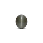 Catseye - 6.5 Carat - Pramogh