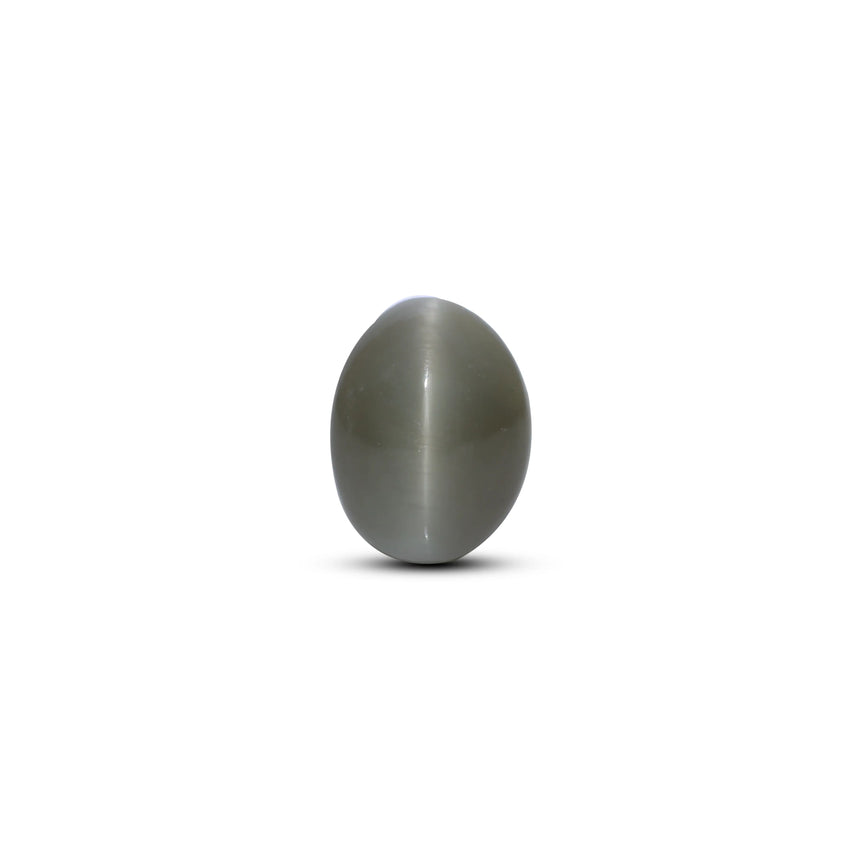 Catseye - 4.8 Carat - Pramogh