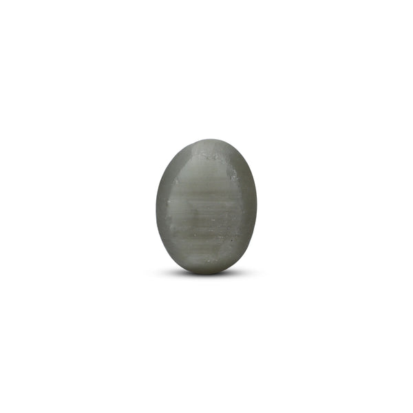 Catseye - 4.8 Carat