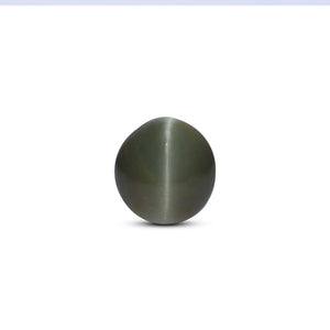 Catseye - 8.55 Carat - Pramogh