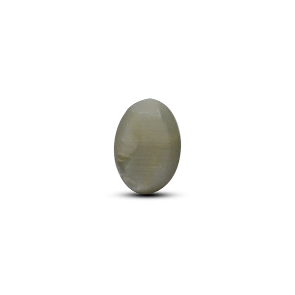 Catseye - 3.65 Carat