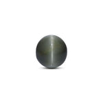 Catseye - 5.5 Carat - Pramogh