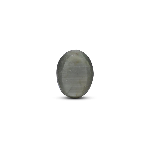 Catseye - 6.55 Carat