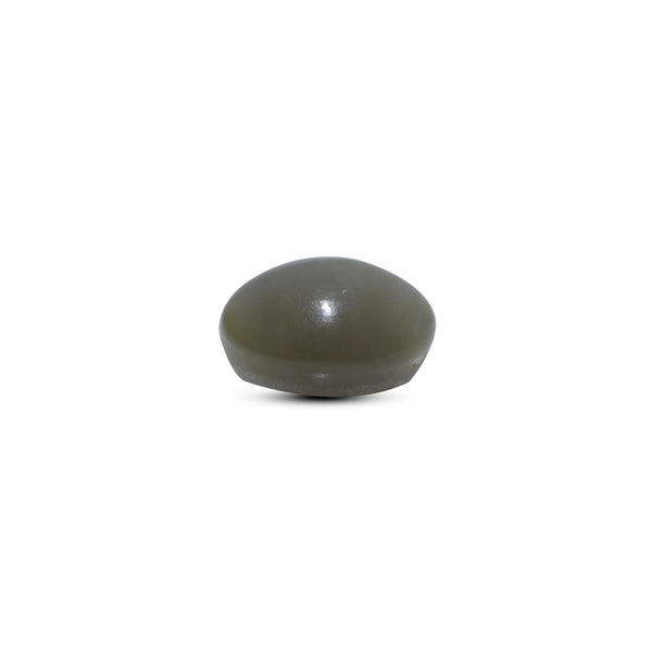 Catseye - 5.5 Carat