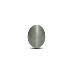 Catseye - 7.85 Carat - Pramogh