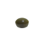 Catseye - 4.75 Carat