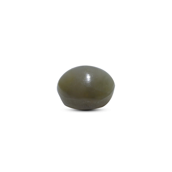 Catseye - 5.65 Carat