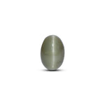 Catseye - 4.2 Carat - Pramogh