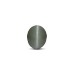 Catseye - 4.3 Carat - Pramogh