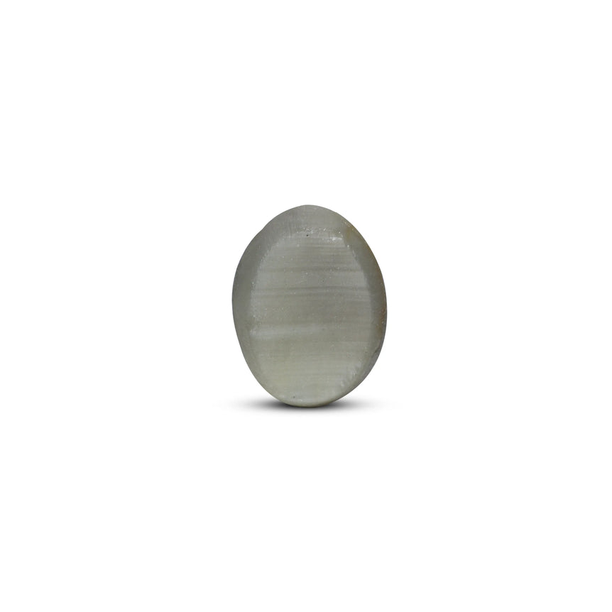 Catseye - 6.3 Carat