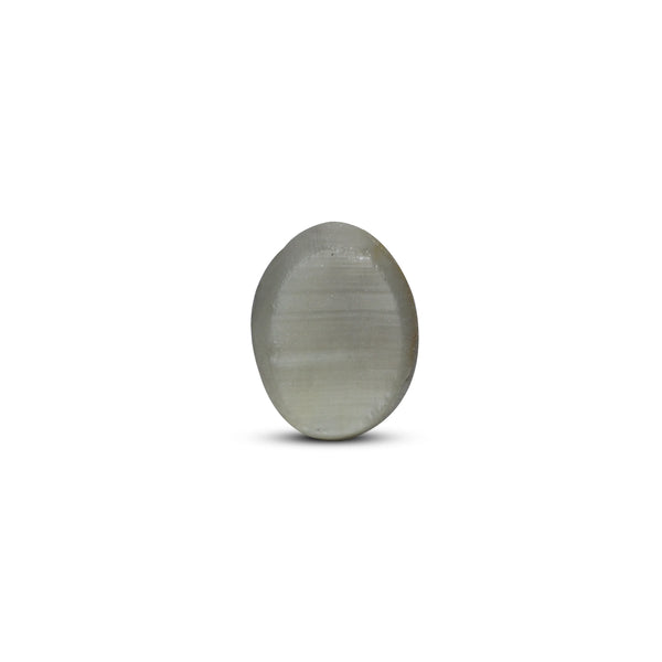 Catseye - 6.3 Carat