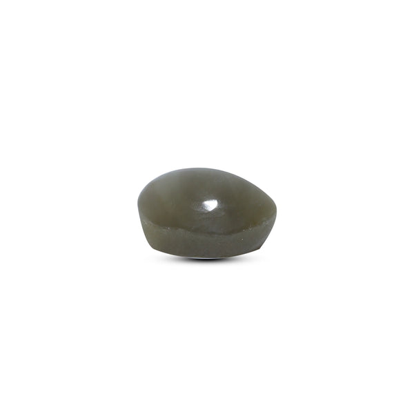Catseye - 6.3 Carat