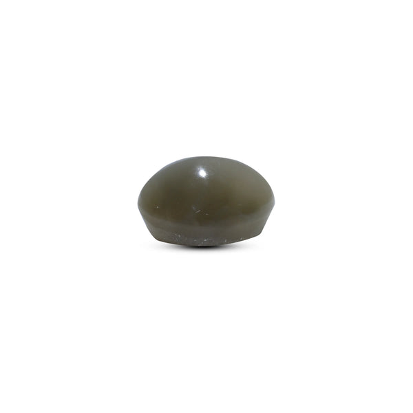 Catseye - 4.75 Carat