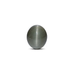 Catseye - 9.9 Carat - Pramogh