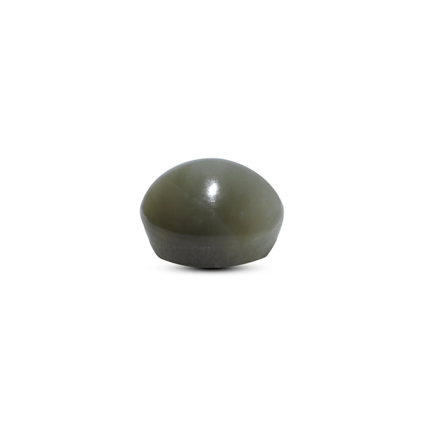 Catseye - 9.9 Carat