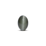 Catseye - 6.3 Carat - Pramogh