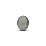 Catseye - 3.7 Carat