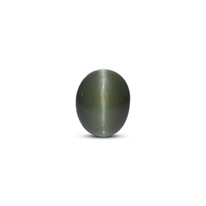 Catseye - 3.6 Carat - Pramogh