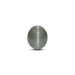 Catseye - 7 Carat - Pramogh