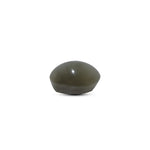 Catseye - 5.75 Carat