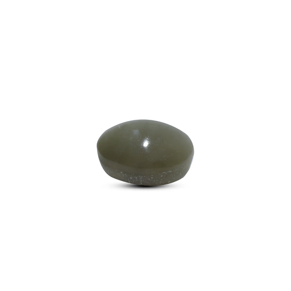 Catseye - 4.8 Carat