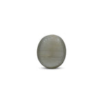 Catseye - 3.6 Carat