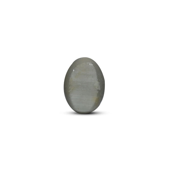 Catseye - 5.55 Carat