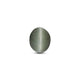 Catseye - 4.56 Carat - Pramogh