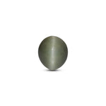 Catseye - 4.2 Carat - Pramogh
