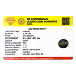 Catseye - 3.73 Carat