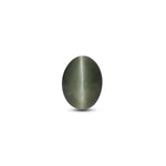 Catseye - 4.09 Carat - Pramogh