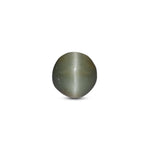 Catseye - 3.37 Carat - Pramogh