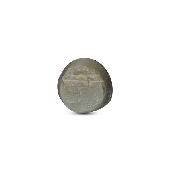 Catseye - 3.37 Carat