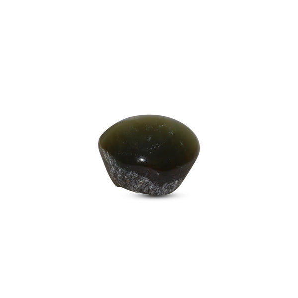 Catseye - 4.6 Carat