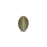 Catseye - 3.43 Carat - Pramogh