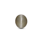 Catseye - 4.05 Carat - Pramogh