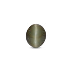 Catseye - 4.65 Carat - Pramogh