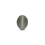 Catseye - 3.6 Carat - Pramogh