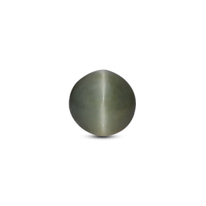 Catseye - 4.55 Carat - Pramogh