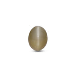 Catseye - 3.25 Carat - Pramogh