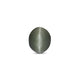 Catseye - 4.07 Carat - Pramogh