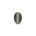 Catseye - 3.6 Carat - Pramogh