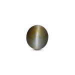 Catseye - 3.6 Carat - Pramogh