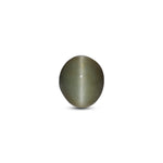 Catseye - 3.8 Carat - Pramogh